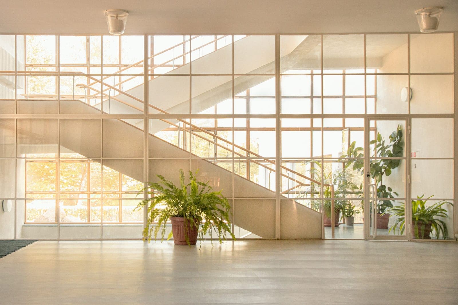 A bare, sunlit interior with no furniture in it, ready for a handover clean.